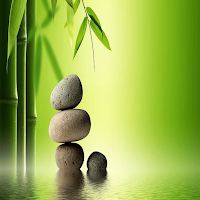 Feng Shui Style
