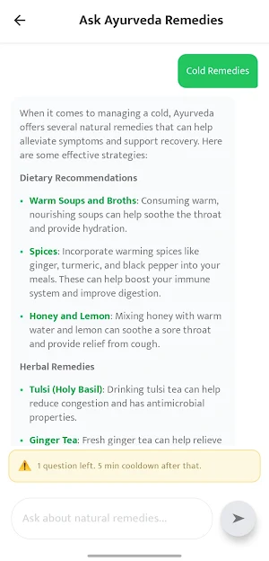 Ayurveda AI: Natural Remedies Screenshot 2