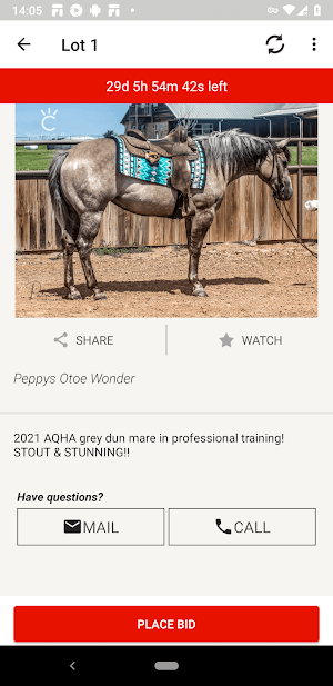 Shining C Grulla Horses Screenshot 3