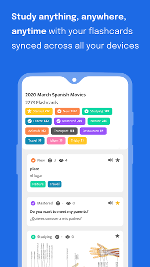 Simple Flashcard Manager Screenshot 0