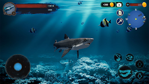 The DogFish Screenshot 1
