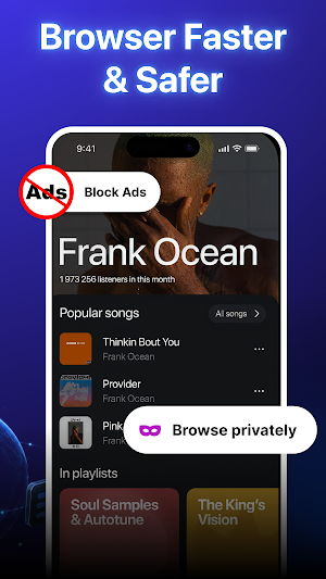 PrivaNet: Private Browser Screenshot 2