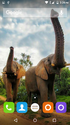 Elephant Wallpaper Hd Screenshot 2