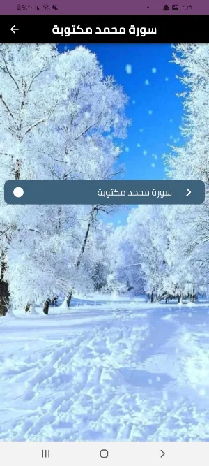 سورة محمد Screenshot 3