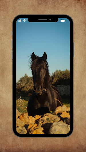 running horse wallpaper 2022 Screenshot 2