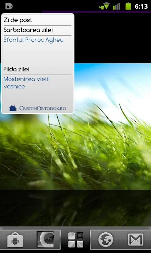 Calendar Ortodox Screenshot 0