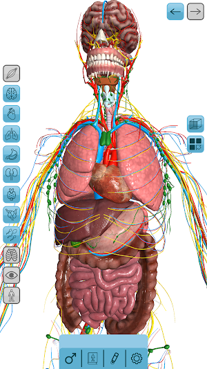 VITA 3D Screenshot 1