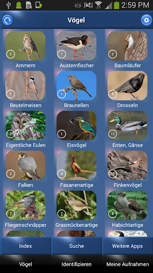 Vogelstimmen Id - Ruf + Gesang Screenshot 2