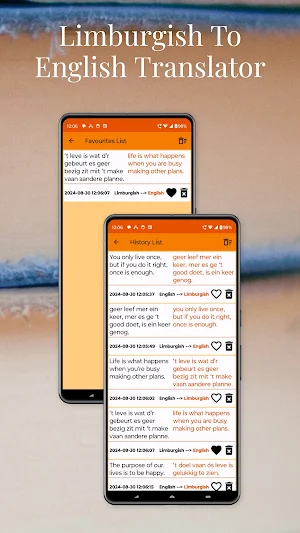 Limburgish To English Trans Screenshot 3