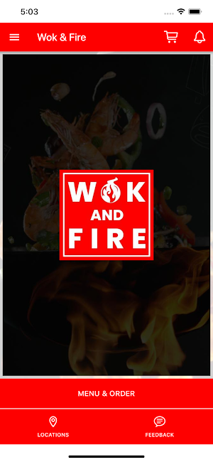 Wok And Fire Screenshot 0