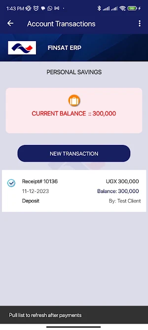 Finsat ERP Screenshot 3
