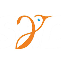 Birdy Consults