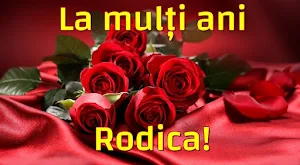 La Multi Ani Screenshot 1