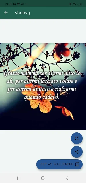 Felice festa della mamma. Screenshot 3