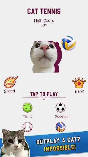Cat Tennis Master Screenshot 2