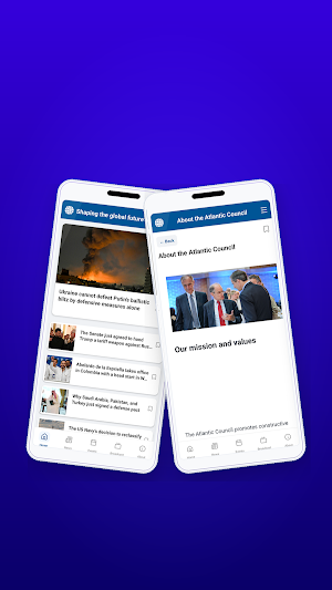 The Atlantic Council Screenshot 2