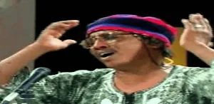 اغاني نور الجيلاني دون نت Screenshot 0