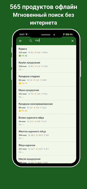 Calorie Counter — Offline Screenshot 2