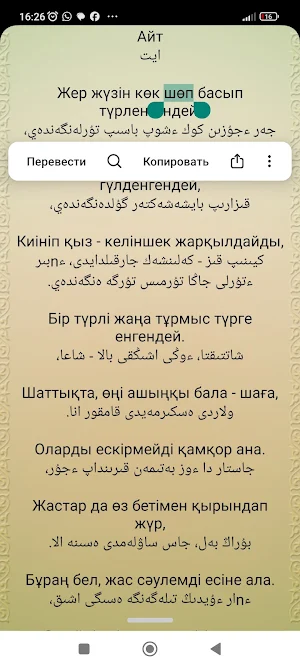 Ақын С.Торайгыров Screenshot 1