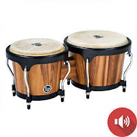 Bongo Drum Sounds
