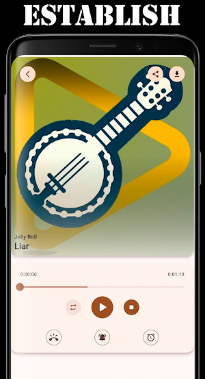 Country Music Ringtones Screenshot 0
