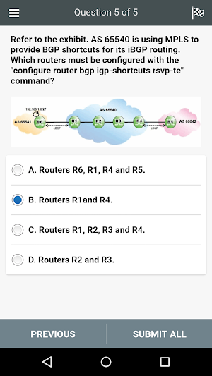 4A0-102 Practice Exam - Border Gateway Protocol Screenshot 1