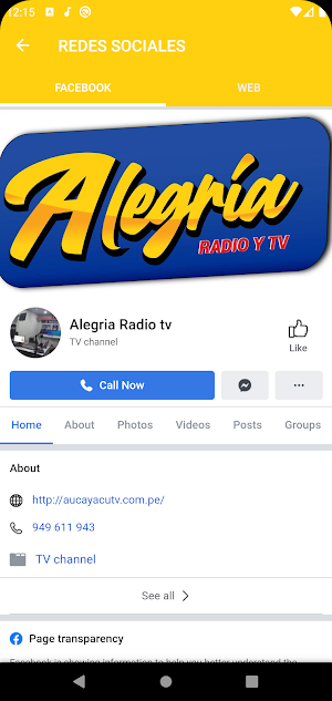 Radio Alegría 99.3 FM Screenshot 3