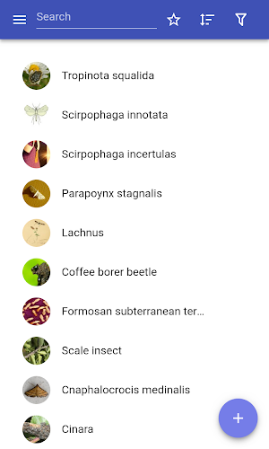 Insect pests Screenshot 0
