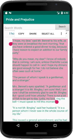 Pride and Prejudice Screenshot 3