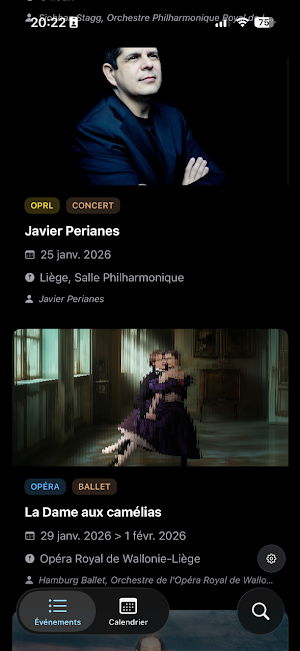 Liège Culture Screenshot 0