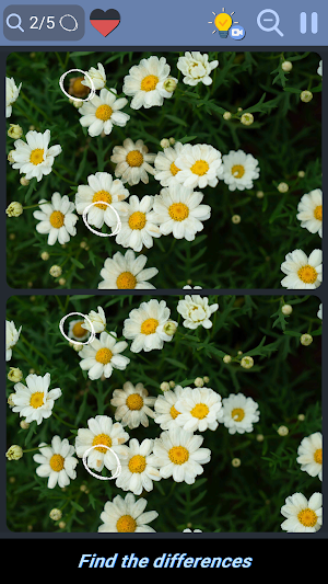 Differences - Find them Screenshot 3