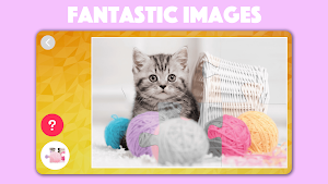 Dogs & Cats Puzzles for kids Screenshot 0