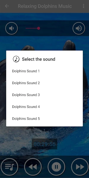 Relaxing Dolphin Sounds - Dolphin singing Screenshot 1