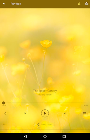 Suara Kicau Burung Kenari Screenshot 3