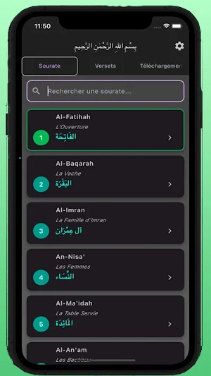 Coran Multilingue & Français Screenshot 1