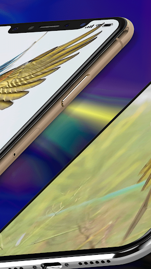 Parrot Wallpaper HD Screenshot 3