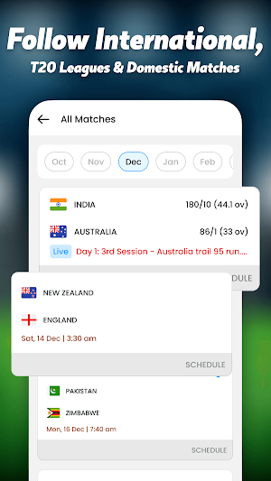 Live Cricket Score - Live Line Screenshot 1