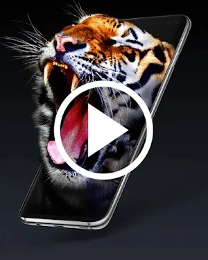 Video Live Wallpaper Screenshot 1