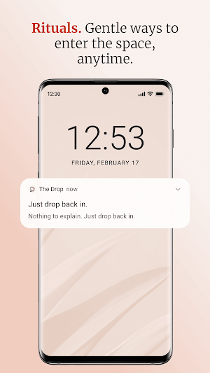 DROP x Daily Distracted Screenshot 3
