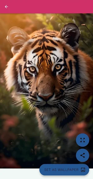 Wild Animal Wallpapers Offline Screenshot 2