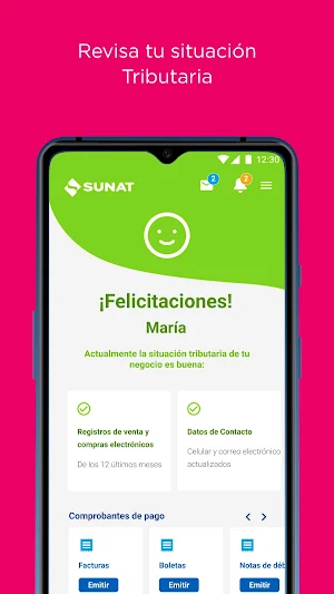 Emprender SUNAT Screenshot 2