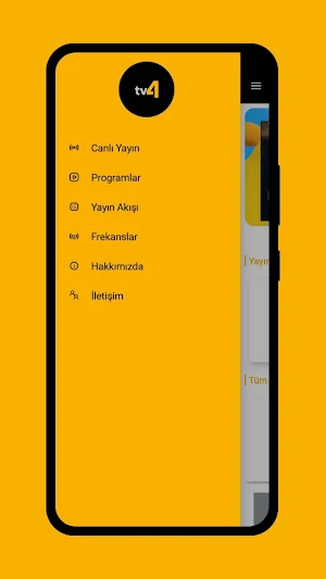 TV4 Screenshot 2