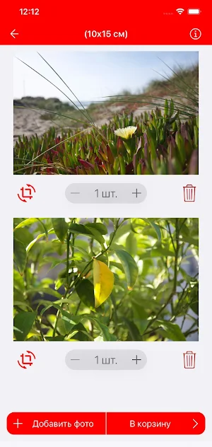 Photofragma.ru Screenshot 2