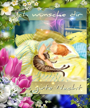 Schönen Morgen Abend Nucht Screenshot 2