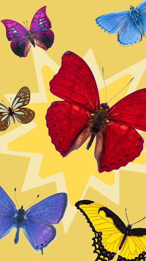 Butterfly Surprise Screenshot 2