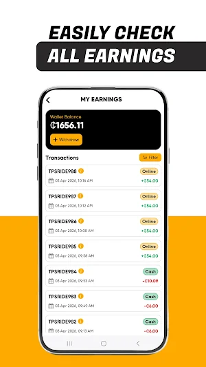 Topsy Driver Screenshot 1