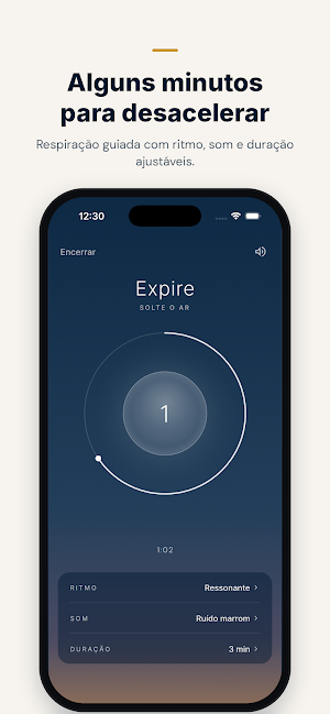 Revert Screenshot 2