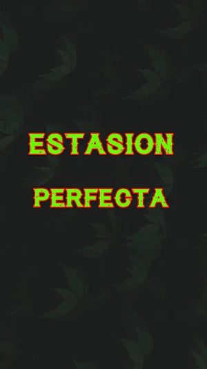 ESTACION PERFECTA Screenshot 0