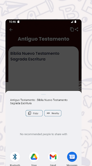 Diccionario Español Sinonimos Screenshot 3