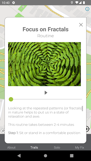 Naturefix Screenshot 2
